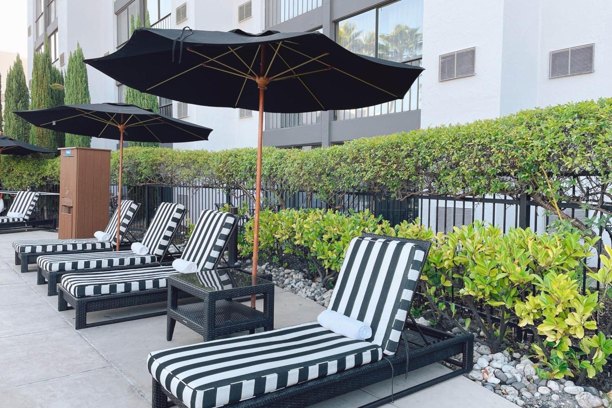 Four Points By Sheraton San Rafael Marin County Екстер'єр фото
