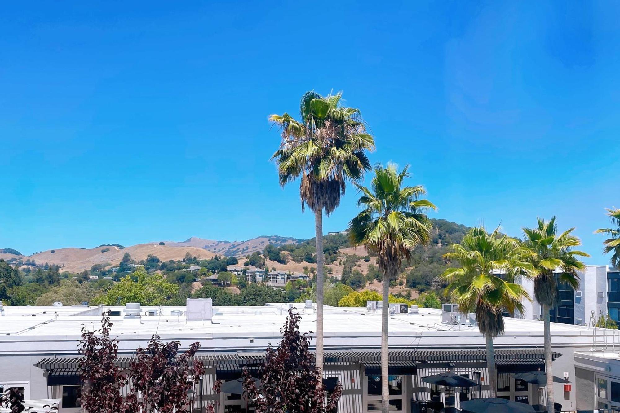 Four Points By Sheraton San Rafael Marin County Екстер'єр фото