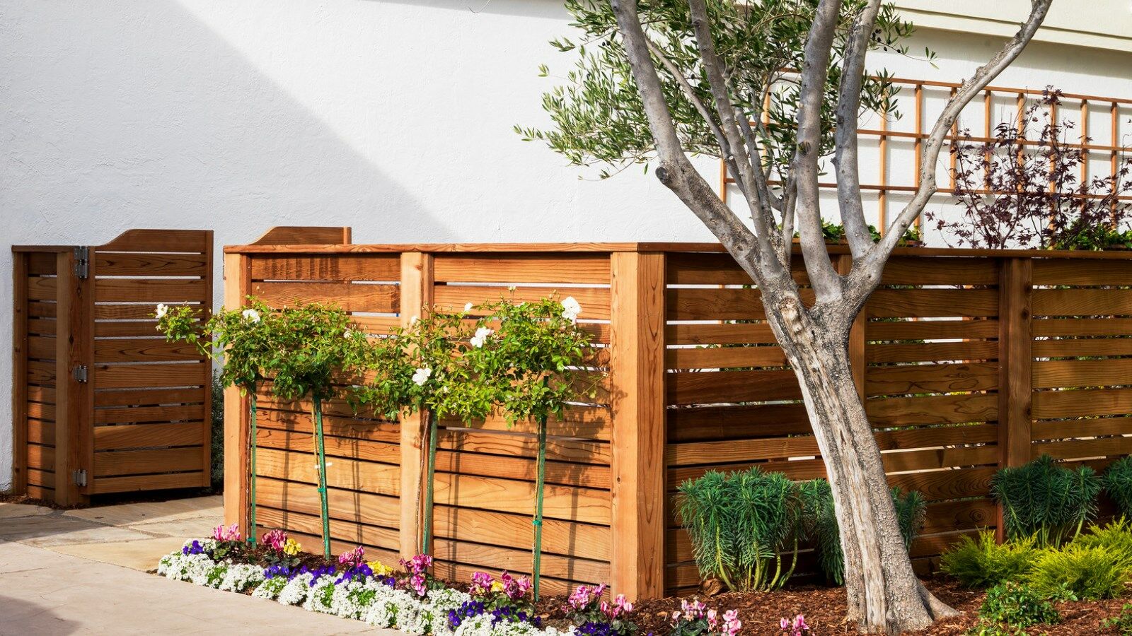 Four Points By Sheraton San Rafael Marin County Екстер'єр фото